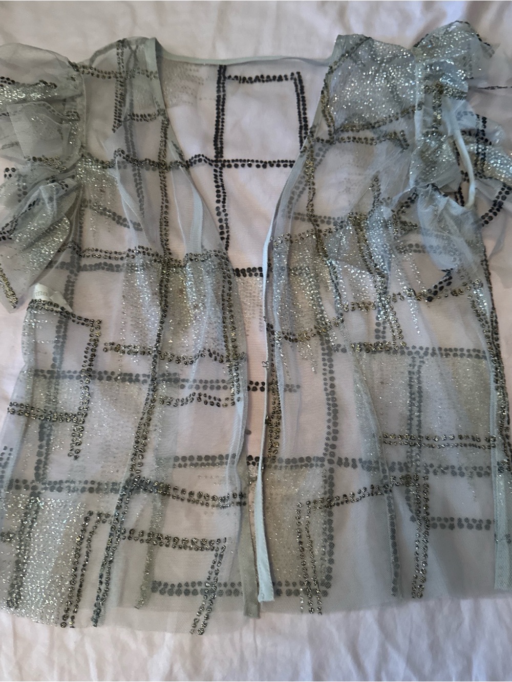 Embellished Sheer Blouse in Light Grey with Ruffle Sleeves